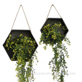 /msite/products/detail/productid/61691538/id/1356447.html
